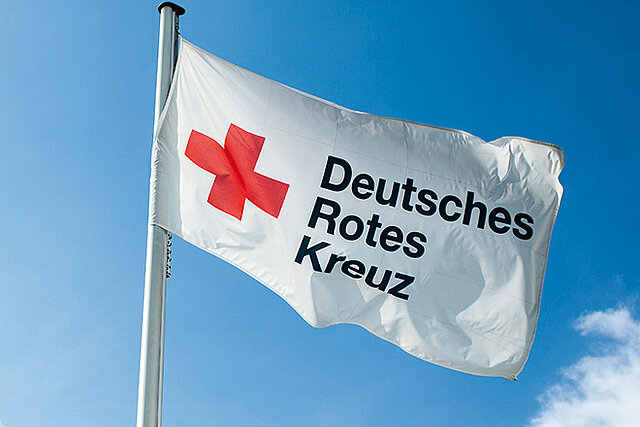 Die Geschäftsführung
